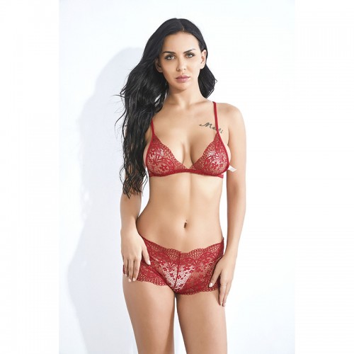 Sexy Lace Bra and Panty Set Bralette Lingerie 9027